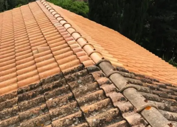 Nettoyage toiture dans les Alpes-Maritimes (06)