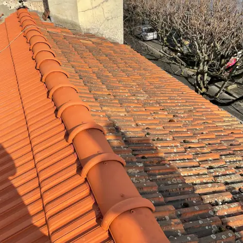 Toiture entretenue dans les Alpes-Maritimes (06)